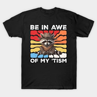 be-in-awe-of-my-tism T-Shirt